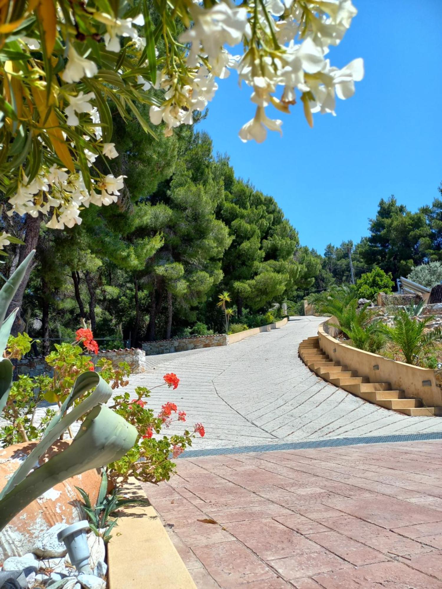 Core Luxury Suites (Adults Only) Σκιάθος Πόλη Εξωτερικό φωτογραφία